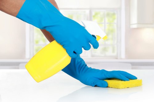 Bathroom cleaning for tenancy move out
