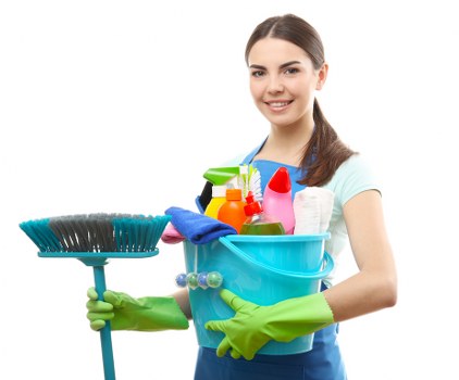 Landlord property inspection and cleaning standards