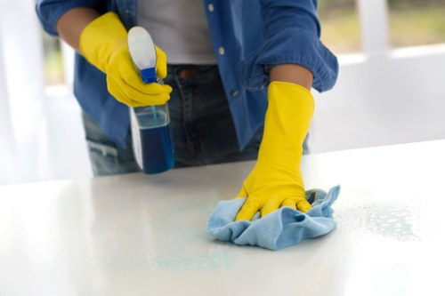 Final move out cleaning of a bright apartment
