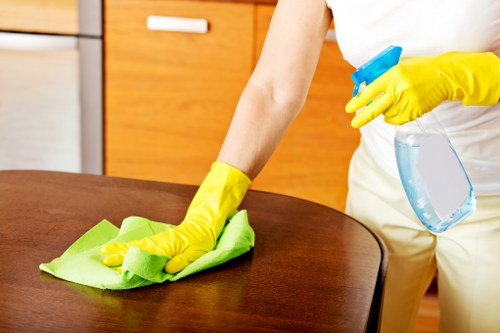 Review stage of a complaint handling procedure with documents